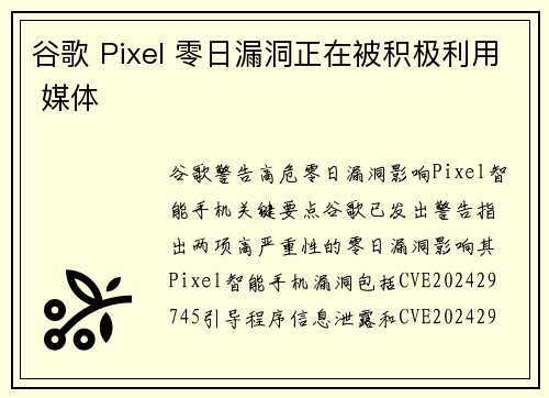 谷歌 Pixel 零日漏洞正在被积极利用 媒体