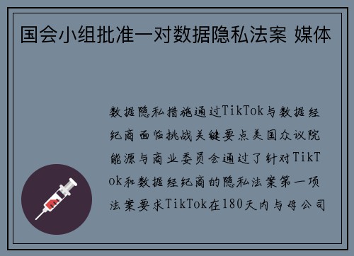 国会小组批准一对数据隐私法案 媒体