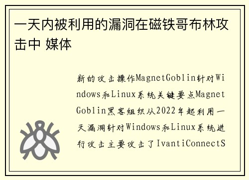 一天内被利用的漏洞在磁铁哥布林攻击中 媒体